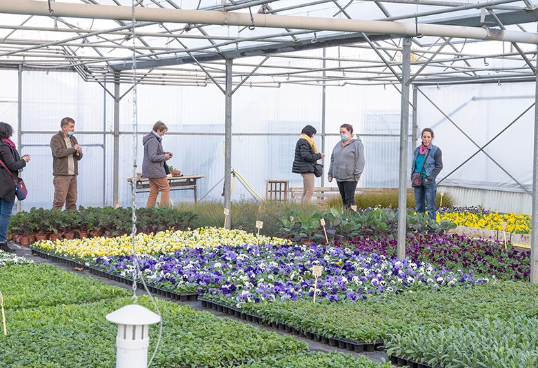 Je créé mon jardin condimentaire