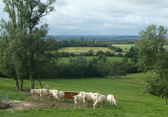 Circuit VTT n°6 : La traversée du bocage