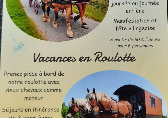 Séjour itinérant en roulotte avec 2 chevaux
