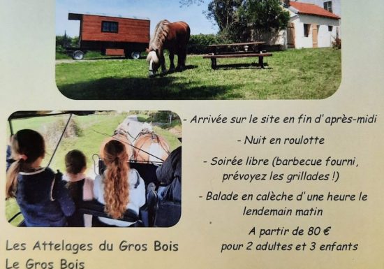 Mini séjour découverte nuit en roulotte et balade en calèche