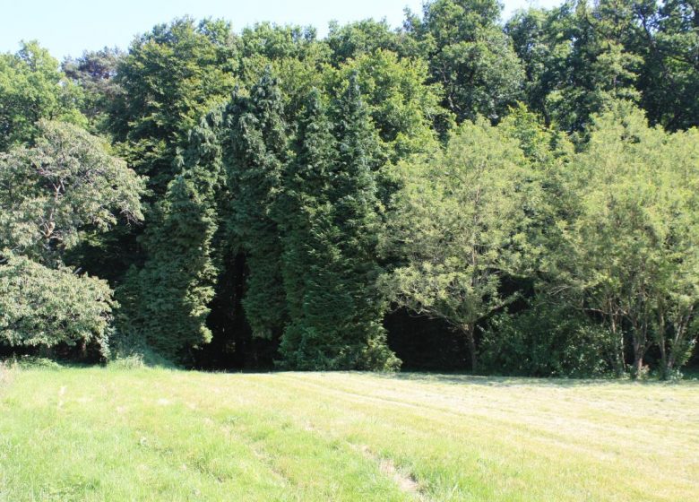 Cottage La Töpferei