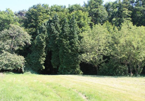 Gîte La Poterie