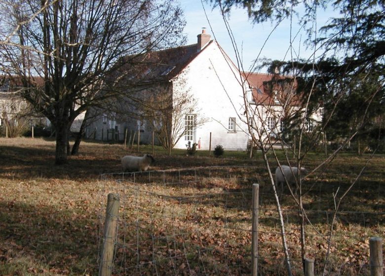 Die Masserie