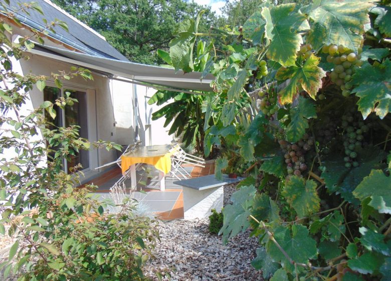 Monts Gîte du Val de Loire