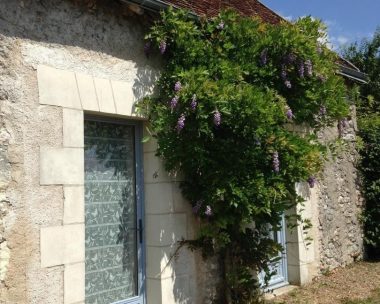 La Glycine