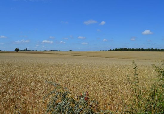 Gîte de la Grande Avaloux