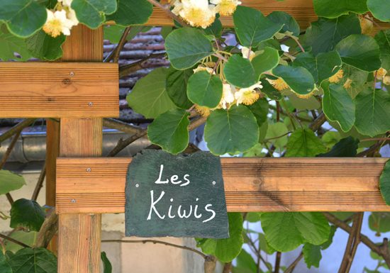 Gîte Les Kiwis