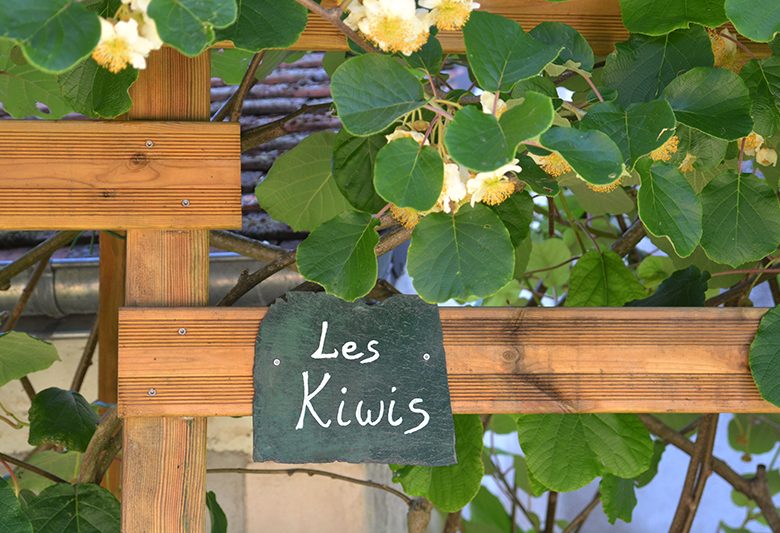 Gîte Les Kiwis