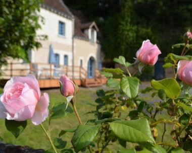 Gîte de la Fontaine