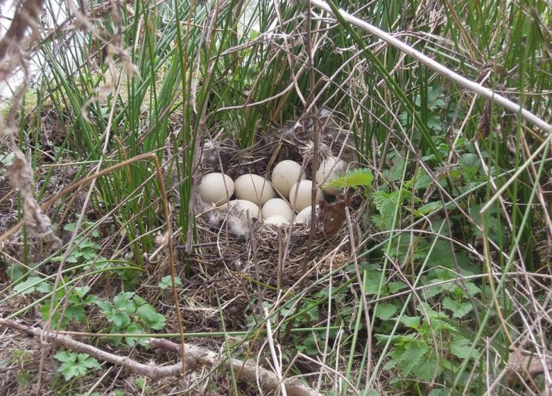 Gîte de la Fontaine