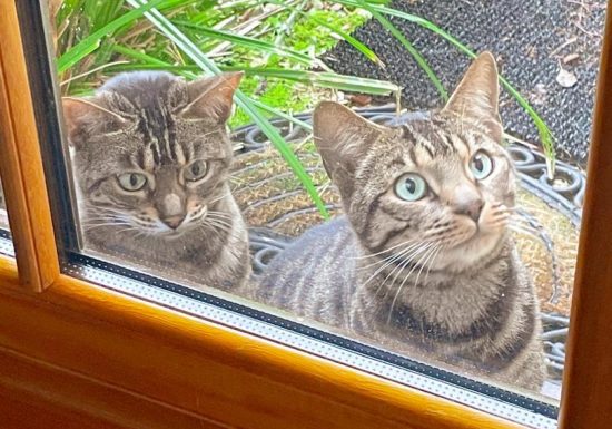 Le Moulin des Foulons