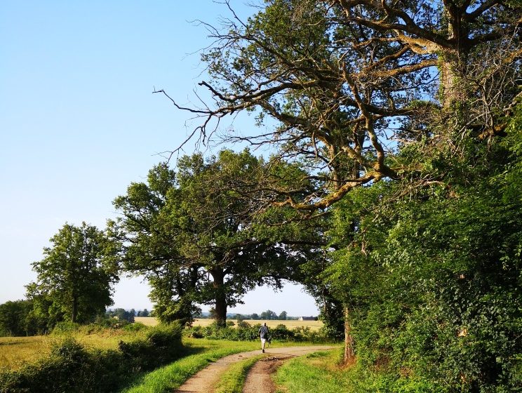 Circuit pédestre n° 99 « Sur les pas de Mauprat »
