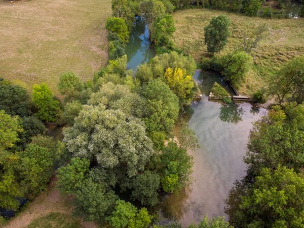 Curieuses Visites – Au fil du canal