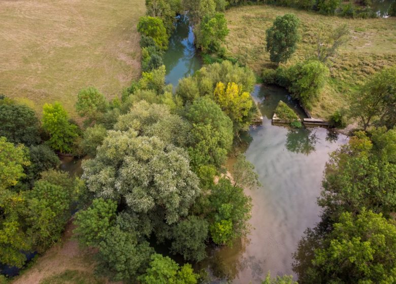 Curieuses Visites – Au fil du canal