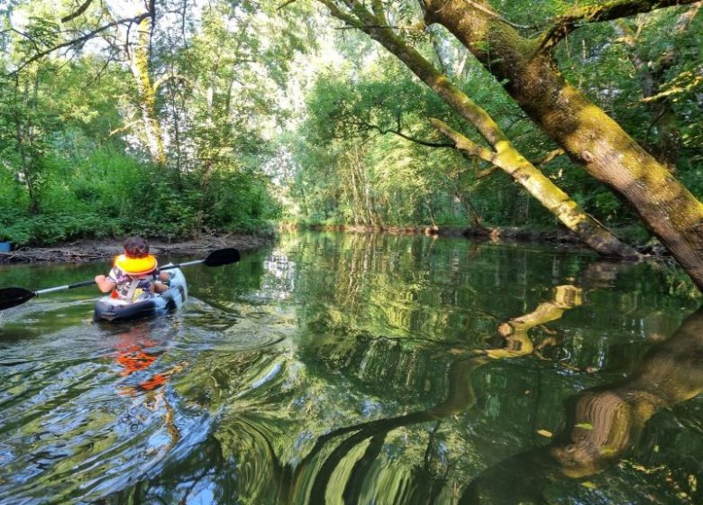Location de kayaks au moulin de Vilaine