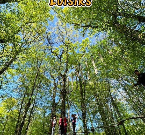 Parcours aventure dans les arbres à Laleuf Loisirs