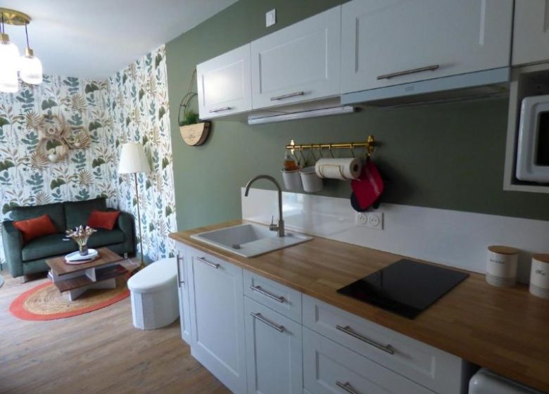 Studio centre-ville : le Colibri – Appartement 1