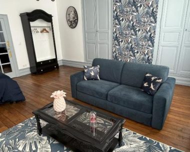 Appartement centre-ville : le Colibri – Appartement 2