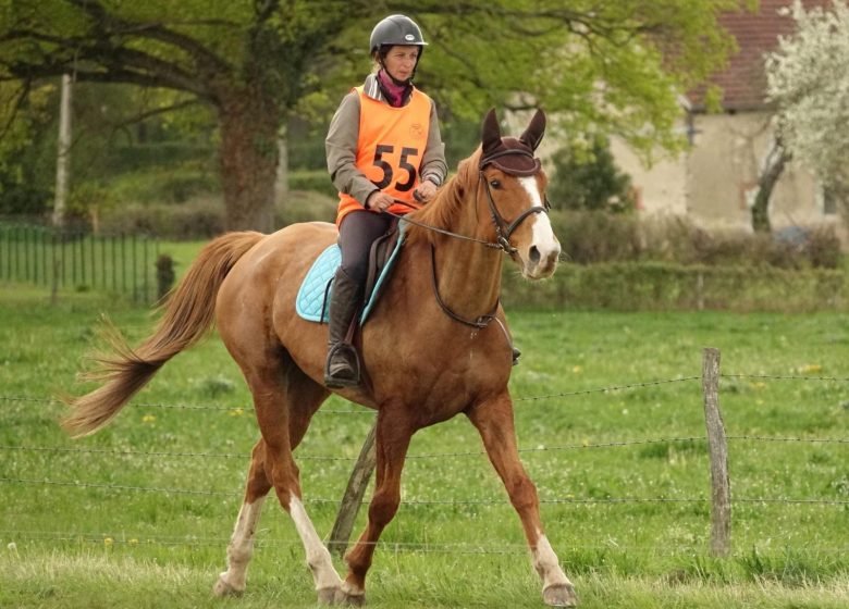 Endurance équestre