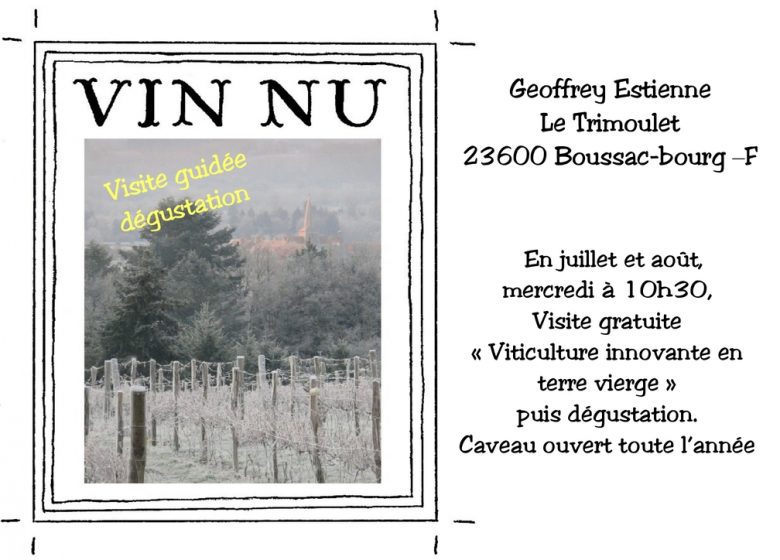 Vin Nu