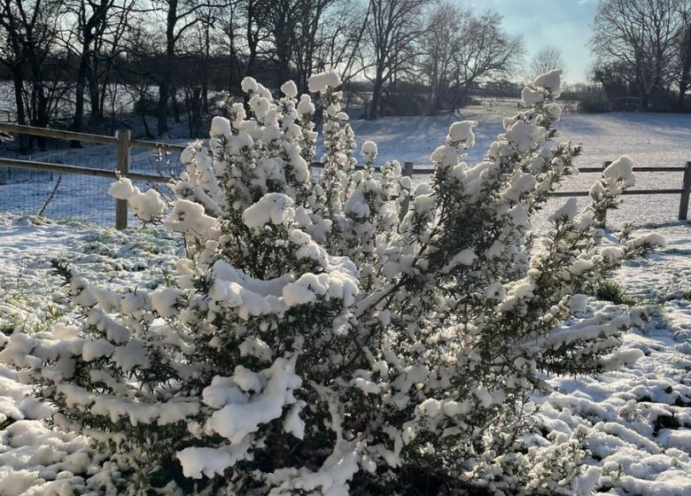 Gîte « Les Sens Ciel »