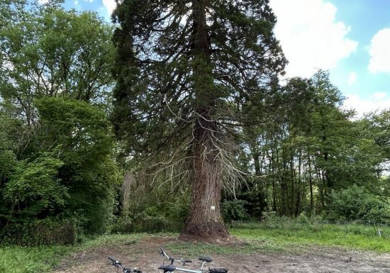 Azay le Rideau Cycles