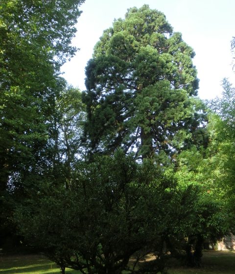Manoir de l’Alouette