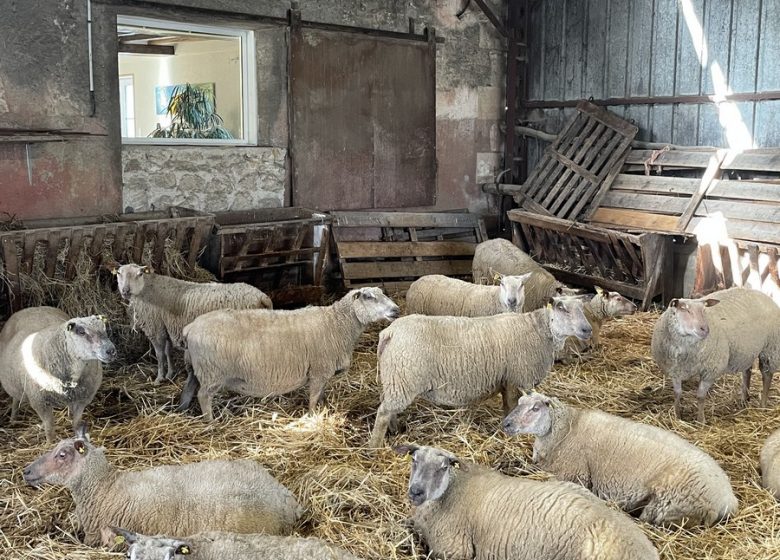 Gîte « Les Sens Ciel »