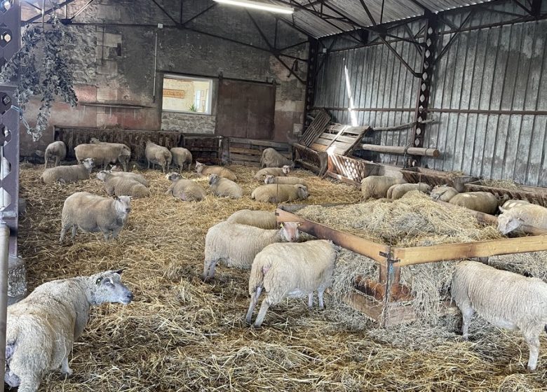 Gîte « Les Sens Ciel »