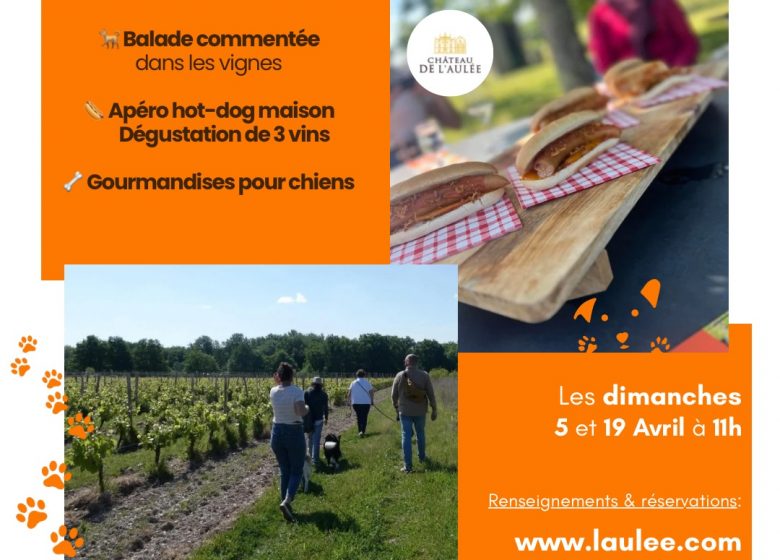 Apéro-Toutou au Château de l&rsquo;Aulée