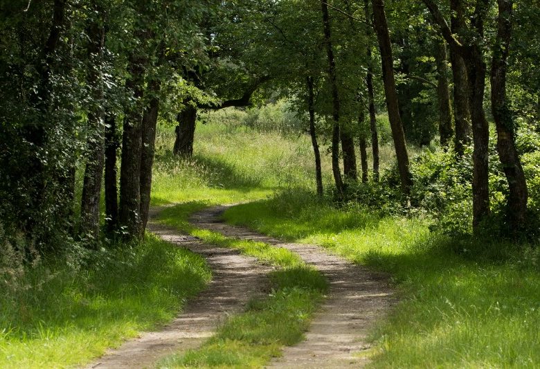 Fête du vélo – une Echappée en Centre-Val de Loire