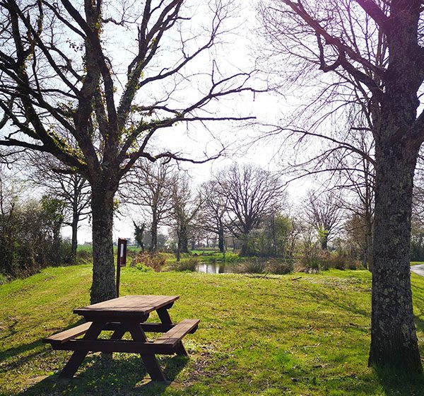 Aire de pique-nique