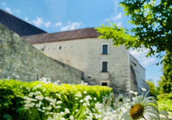 Jardin des Cordeliers