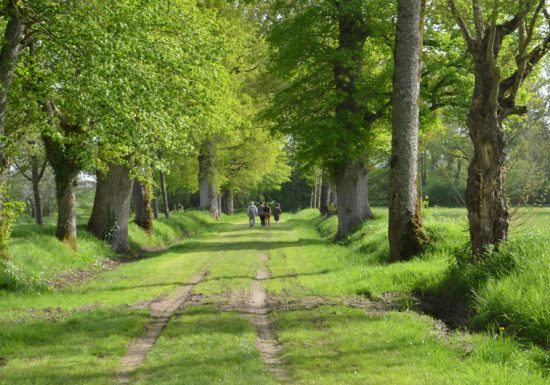 Moulin d’Angibault