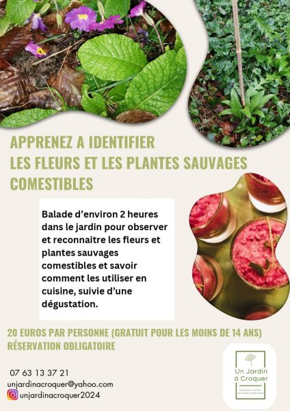 Les fleurs et les plantes sauvages comestibles