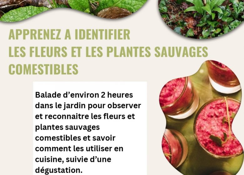 Les fleurs et les plantes sauvages comestibles