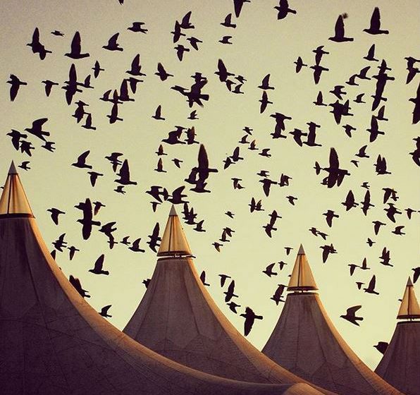Boulodrome