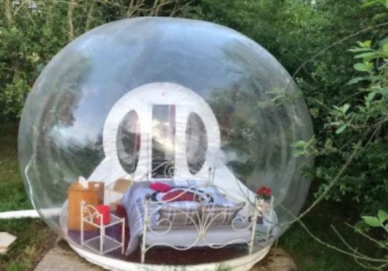 Bulle des 2 Arbres de la Sagesse