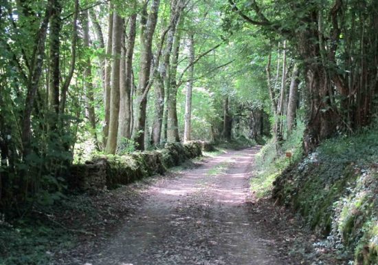 Les Terres d’Urmont