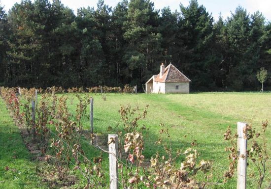 Les jardins de Beauregard