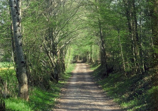 Les jardins de Beauregard