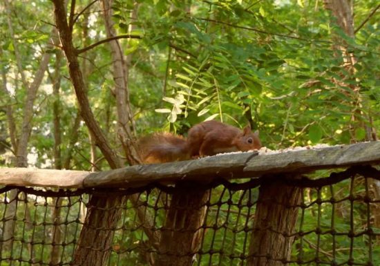 La Cabane du Pêcheur