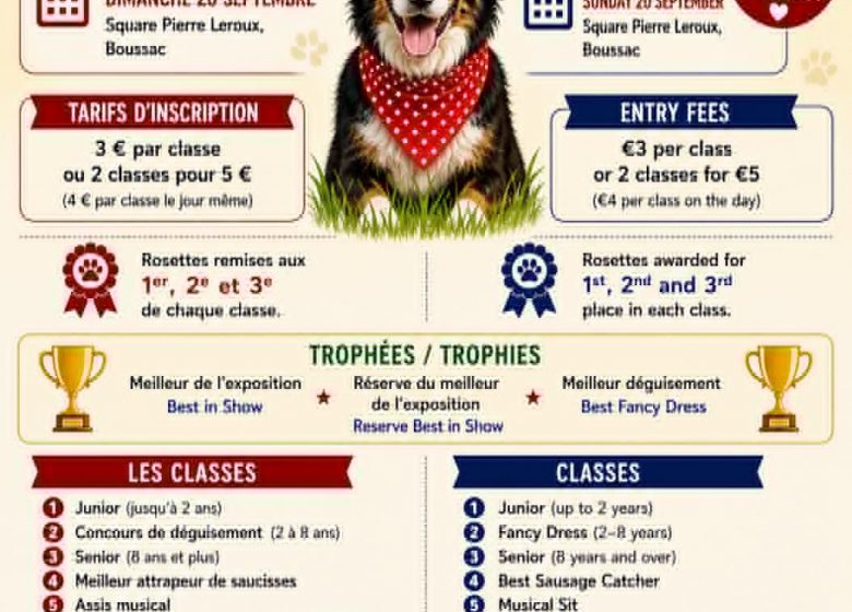 Concours canin amusant
