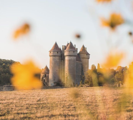 Château de Sarzay