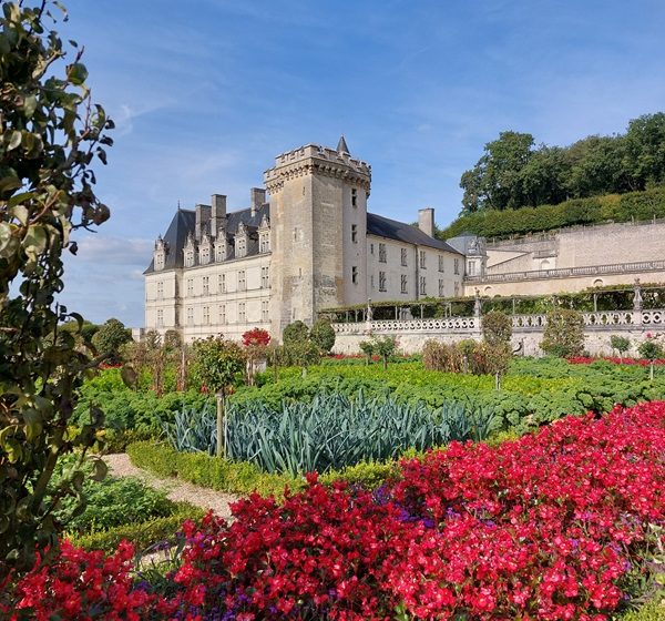 French PAC (Patrimoine culturel, Ateliers cuisine, Cours de français)