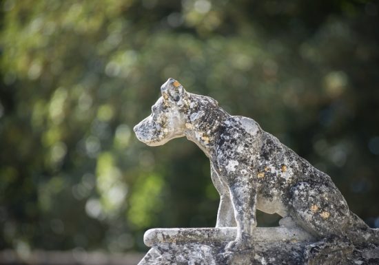 Cité royale de Loches