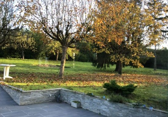 Des Roux et des Pious