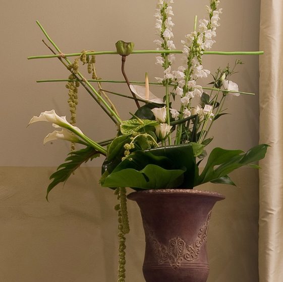 Domaine Plessis Gallu – Cottage Jardin