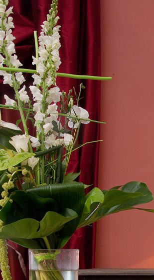 Domaine Plessis Gallu – Cottage Parc