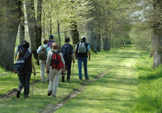 Moulin d’Angibault